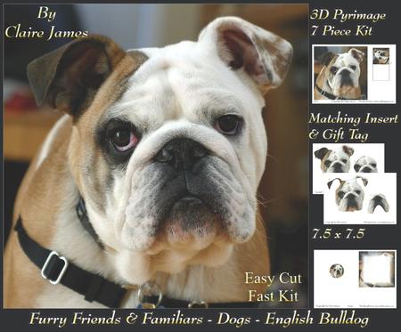 Furry Friends & Familiars - Dog - English Bulldog +tag+