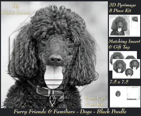 Furry Friends & Familiars - Dogs - Black Poodle Insert & Tag