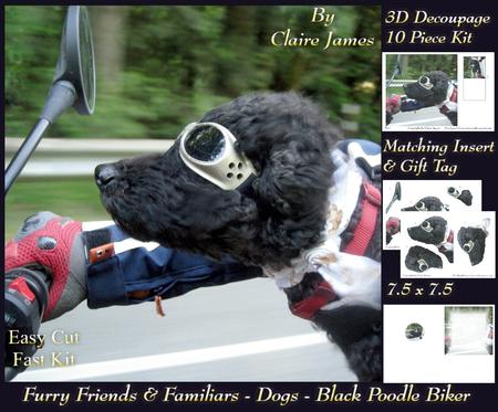 Furry Friends & Familiars - Dogs - Black Poodle Biker +tag+