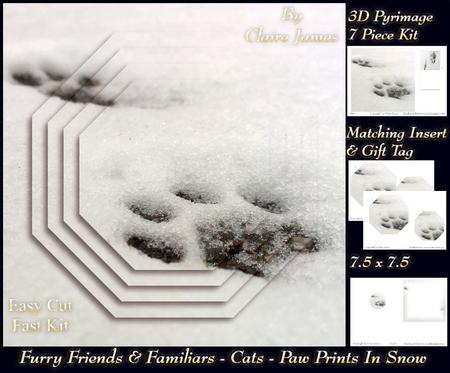 Furry Friends & Familiars - Cats - Paw Prints in the Snow +