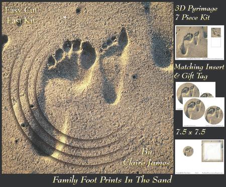 Family Foot Prints in the Sand + Insert & Tag
