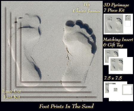 Foot Prints in the Sand + Insert & Tag