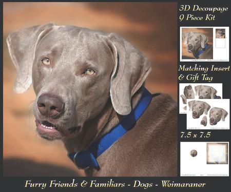 Furry Friends & Familiars - Dogs - Weimaraner + Insert & Tag