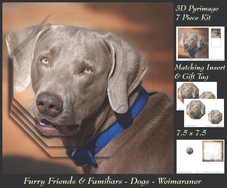 Furry Friends & Familiars - Dogs - Weimaraner + Insert & Tag
