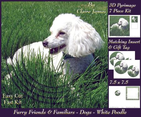 Furry Friends & Familiars - Dogs - White Poodle + Insert+tag