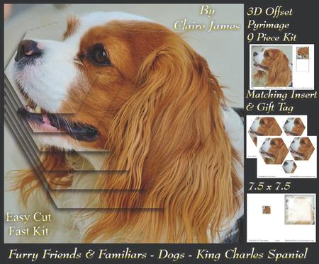 Furry Friends & Familiars - Dogs - King Charles Spaniel Tag+