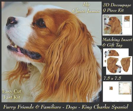 Furry Friends & Familiars - Dogs - King Charles Spaniel Tag+