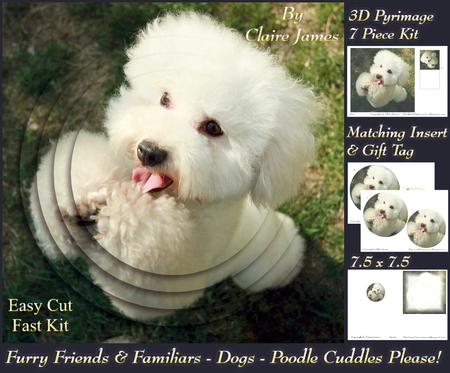 Furry Friends & Familiars - Dogs - Poodle Cuddles Please +