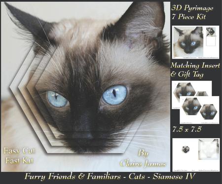 Furry Friends & Familiars - Cats - Siamese 4 + Tag +