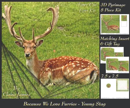 Because We Love Furries - Handsome Young Stag + Insert & Tag