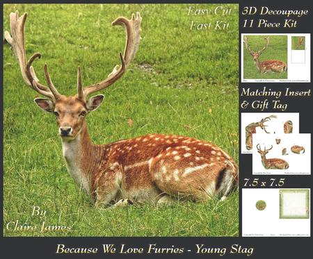 Because We Love Furries - Handsome Young Stag + Insert & Tag