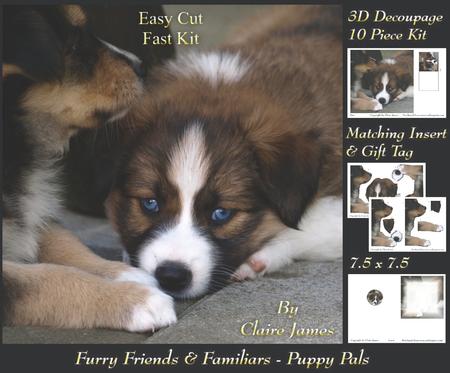 Furry Friends & Familiars - Puppy Pals + Insert & Tag