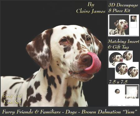 Furry Friends & Familiars - Dogs - Dalmation That Looks Yum