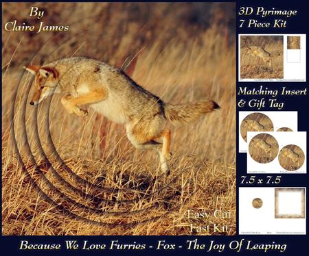 Because We Love Furries - Fox - the Joy of Leaping +tag+