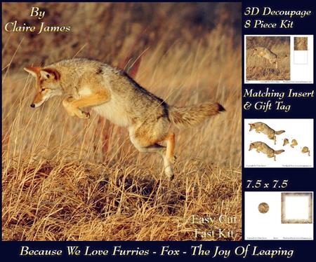 Because We Love Furries - Fox - the Joy of Leaping +tag+