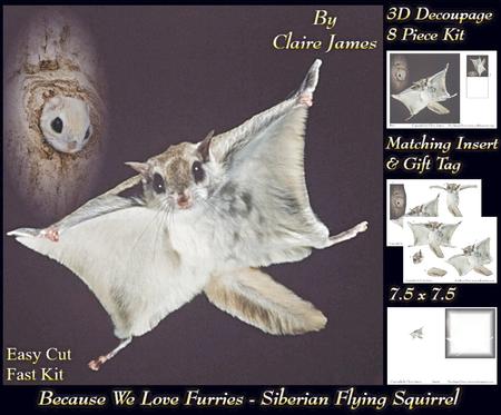 Because We Love Furries - Siberian Flying Squirrel +tag+