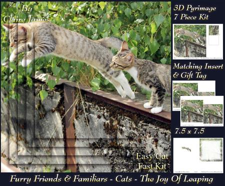 Furry Friends & Familiars - Cats - the Joy of Leaping +tag+