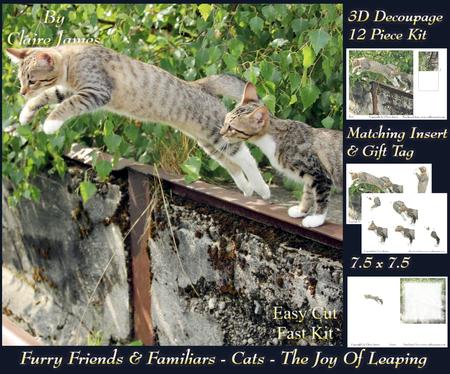 Furry Friends & Familiars - Cats - the Joy of Leaping +tag+