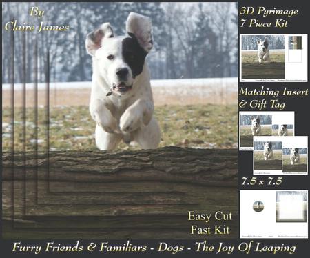 Furry Friends & Familiars - Dog - the Joy of Leaping +tag+