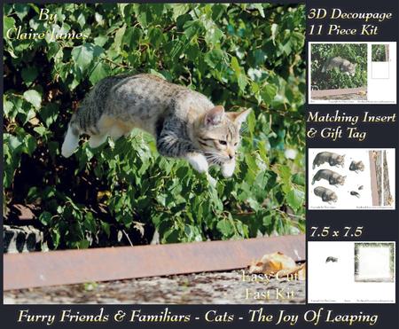 Furry Friends & Familiars - Cats - the Joy of Leaping +tag+