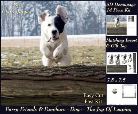 Furry Friends & Familiars - Dog - the Joy of Leaping +tag+