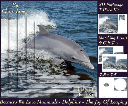 Because We Love Mammals - Dolphins - the Joy of Leaping Tag+