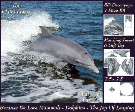 Because We Love Mammals - Dolphins - the Joy of Leaping Tag+