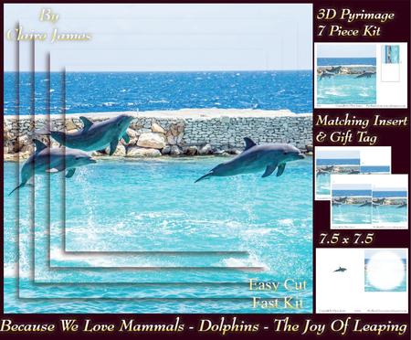 Because We Love Mammals - Dolphins - the Joy of Leaping Tag+