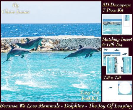 Because We Love Mammals - Dolphins - the Joy of Leaping Tag+
