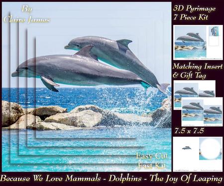 Because We Love Mammals - Dolphins - the Joy of Leaping Tag+