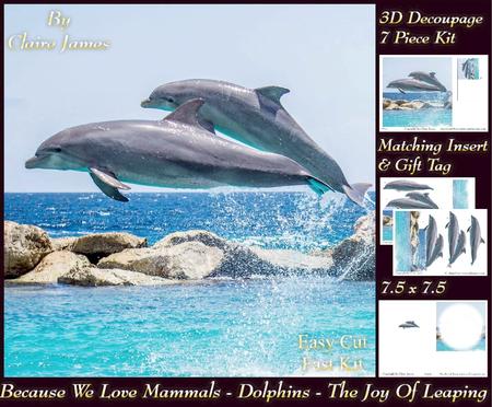 Because We Love Mammals - Dolphins - the Joy of Leaping Tag+