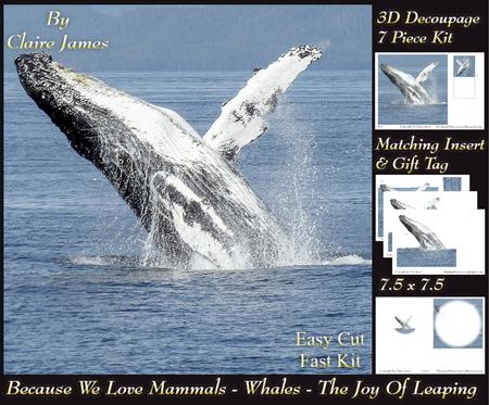 Because We Love Mammals - Whales - the Joy of Leaping Tag+