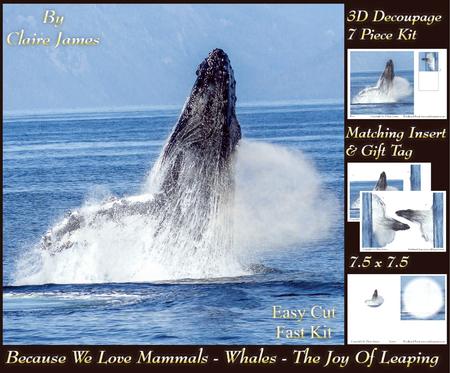 Because We Love Mammals - Whales - the Joy of Leaping Tag+