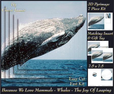 Because We Love Mammals - Whales - the Joy of Leaping Tag+