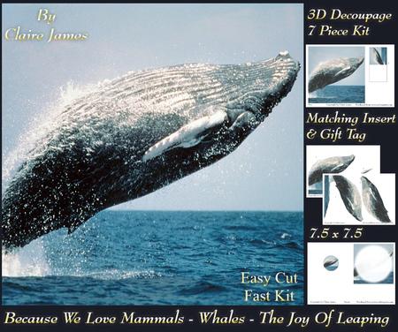 Because We Love Mammals - Whales - the Joy of Leaping Tag+