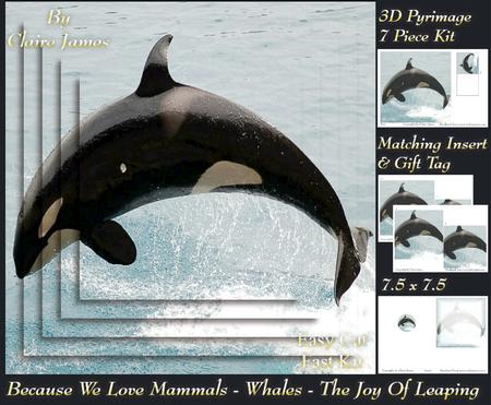 Because We Love Mammals - Whales - the Joy of Leaping Tag+