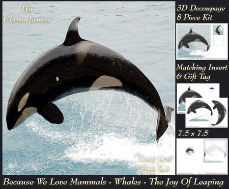 Because We Love Mammals - Whales - the Joy of Leaping Tag+