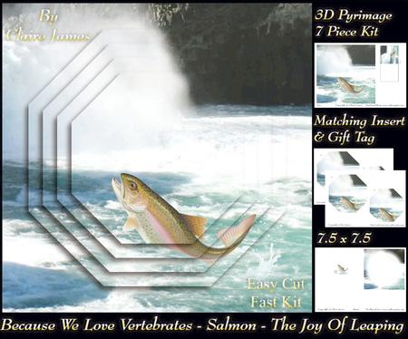 Because We Love Vertebrates -salmon- the Joy of Leaping Tag+