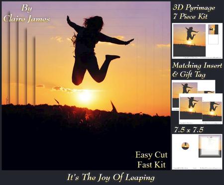 Its the Joy of Leaping!!! + Insert & Tag