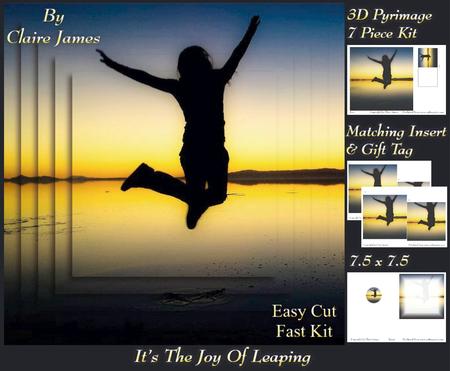 Its the Joy of Leaping!!! + Insert & Tag