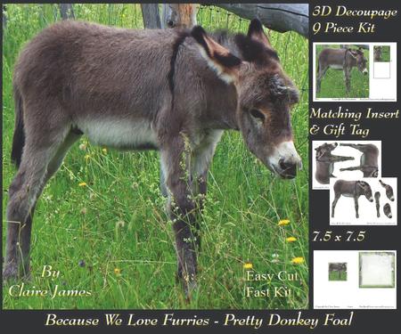 Because We Love Furries - Pretty Donkey Foal +tag+