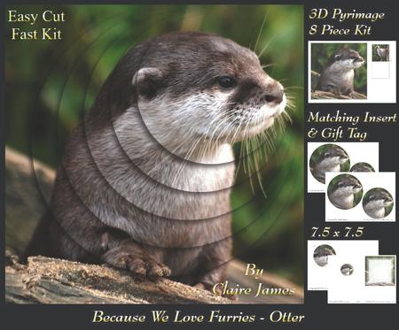 Because We Love Furries - Beautiful Otter + Insert & Tag