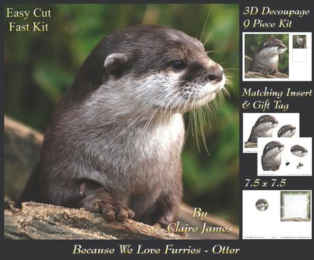Because We Love Furries - Beautiful Otter + Insert & Tag
