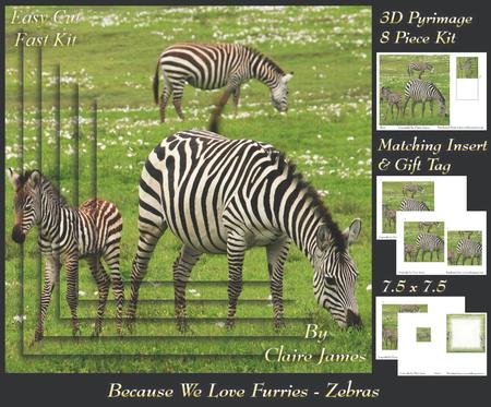 Because We Love Furries - Zebra Family + Insert & Tag