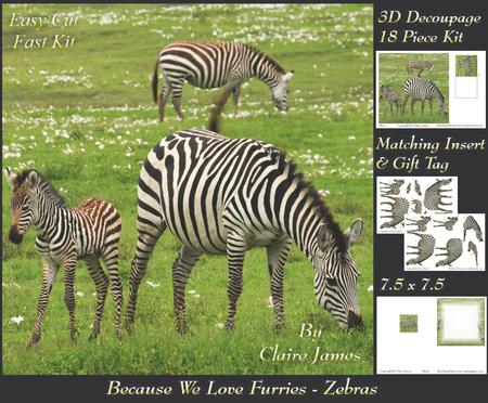 Because We Love Furries - Zebra Family + Insert & Tag