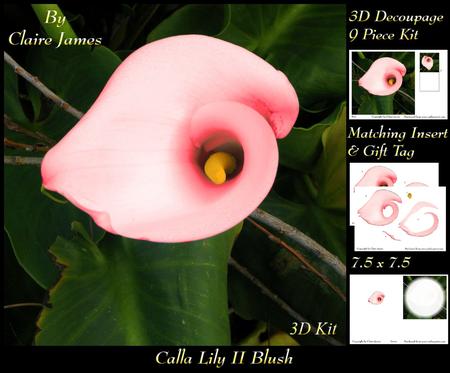 Floral - Calla Lily Pink Blush 2 + Insert & Tag