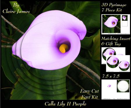 Floral - Calla Lily Purple Blush 2 + Insert & Tag