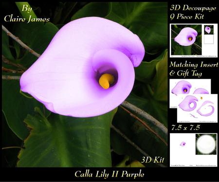 Floral - Calla Lily Purple Blush 2 + Insert & Tag