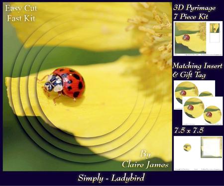 Spring Time - Ladybird on a Daffodil +insert+tag