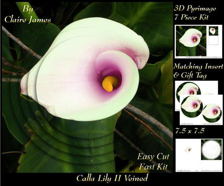 Floral - Calla Lily Veined 2 + Insert & Tag
